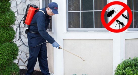 Çankaya Dezenfeksiyon böcek ilaçlama ve haşere kontrolü — ilaclama-tr.com